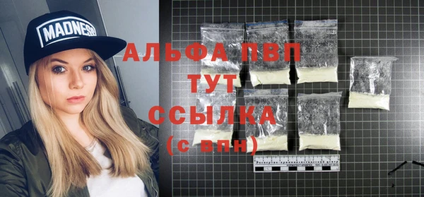 тгк Володарск