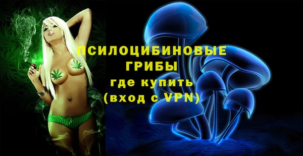 тгк Володарск