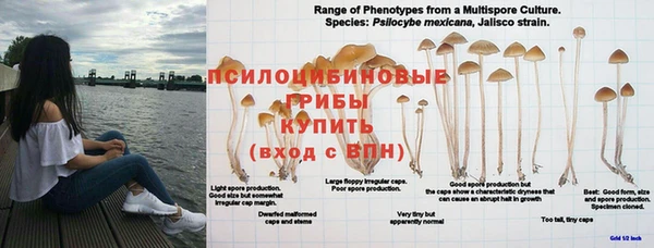 тгк Володарск
