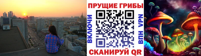 Купить  Сафоново  Псилоцибиновые грибы прущие грибы 